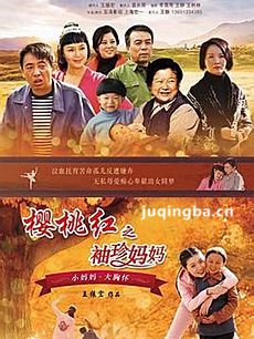樱桃红之袖珍妈妈剧情介绍(1-44全集)