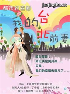 电视剧海报