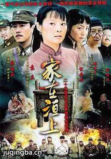 家在洹上剧情介绍(1-23全集)
