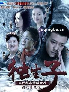 电视剧独生子剧情介绍(1-36全集)