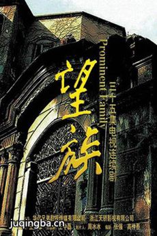 电视剧望族剧情介绍(1-37全集)