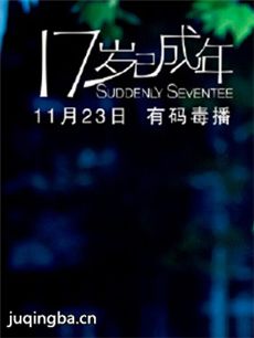 17岁已成年剧情介绍(1-26全集)
