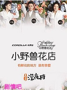 电视剧海报