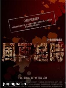 风再起时剧情介绍(1-30全集)