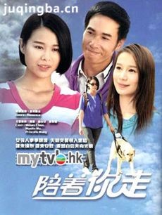 电视剧海报