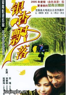电视剧海报