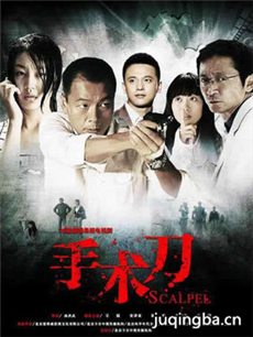 电视剧手术刀剧情介绍(1-22全集)