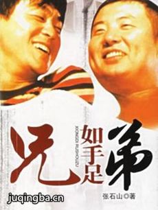 电视剧海报