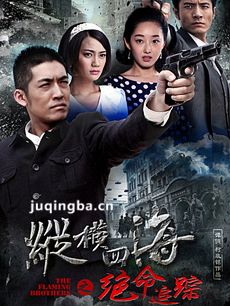 绝命追踪剧情介绍(1-36全集)