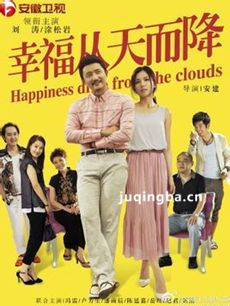 后婚姻时代剧情介绍(1-60全集)