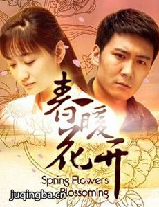 电视剧海报