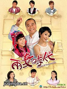电视剧《两妻时代》剧情介绍(1-20全集)