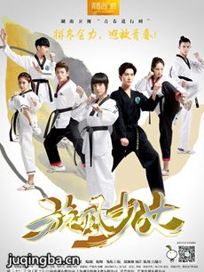 旋风少女2剧情介绍(1-36全集)