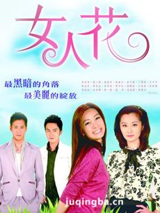 台湾版电视剧《女人花》剧情介绍(1-40全集)