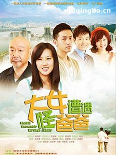 电视剧海报