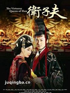 大汉贤后卫子夫剧情介绍(1-47全集)