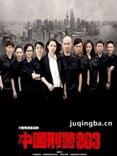 中国刑警803剧情介绍(1-50全集)