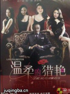 电视剧海报