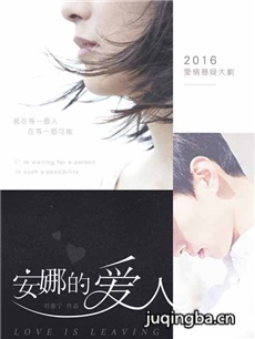 电视剧《安娜的爱人》剧情介绍(1-35全集)