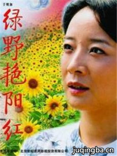 电视剧海报