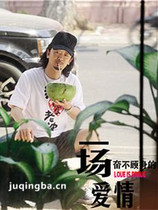 一场奋不顾身的爱情剧情介绍(1-30全集)