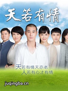 台剧《天若有情》剧情介绍(1-130全集)