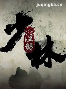 电视剧海报