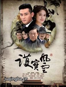 护宝风云剧情介绍(1-36全集)