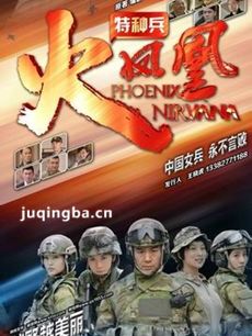 我是特种兵3之火凤凰剧情介绍(1-62全集)