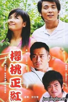 电视剧海报