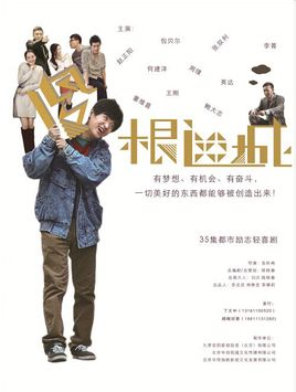 傻根进城剧情介绍(1-40全集)