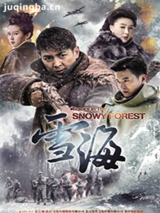 电视剧雪海剧情介绍1-40全集(保剑锋版)