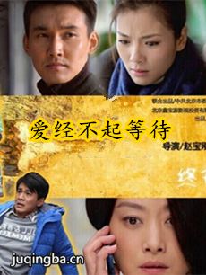 爱经不起等待剧情介绍(1-41全集)