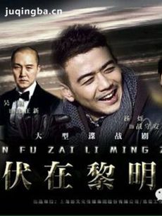 潜伏在黎明之前剧情介绍(1-44全集)