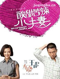 《酸甜苦辣小夫妻》热播 李晓峰对手王雷极