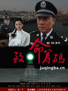 致命筹码剧情介绍(1-20全集)