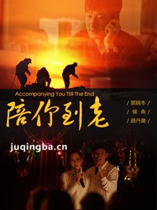 电视剧陪你到老剧情介绍(1-30全集)