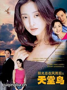电视剧海报