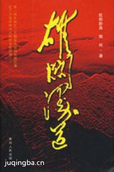 雄关漫道剧情介绍(1-20全集)