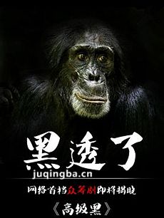电视剧海报