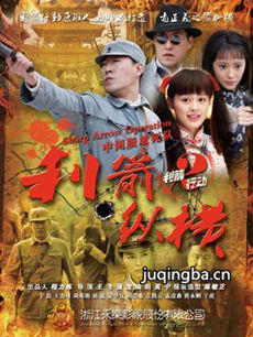 挺进金山城剧情介绍(1-46全集)