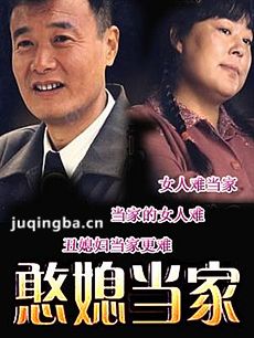 电视剧海报