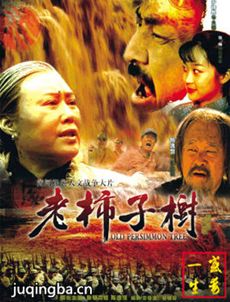 老柿子树剧情介绍(1-28全集)