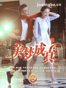 电视剧美梦成真剧情介绍(1-30全集)