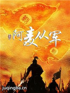 阿麦从军剧情介绍(1-40全集)