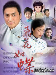飞花如蝶剧情介绍(1-26全集)