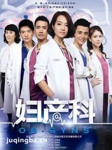 爱的妇产科剧情介绍(1-12全集)