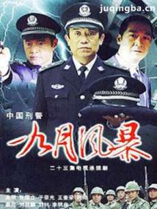 中国刑警之九月风暴剧情介绍(1-23全集)