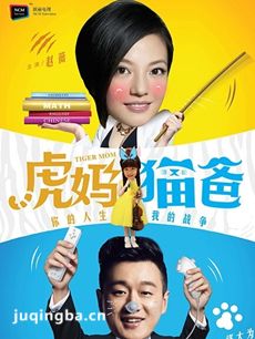 电视剧海报