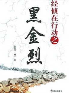 经侦在行动之黑金烈剧情介绍(1-34全集)